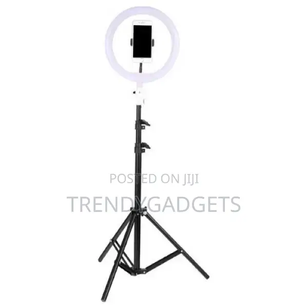 Black Aluminium Tiktok Led 12 Inch Ring Videography Light