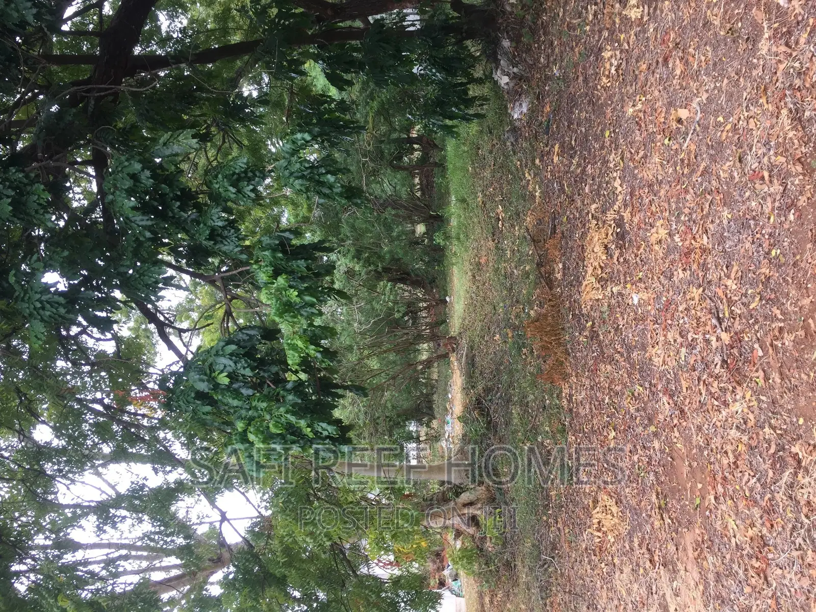 3/4 Acre Land for Sale in Links Road Nyali