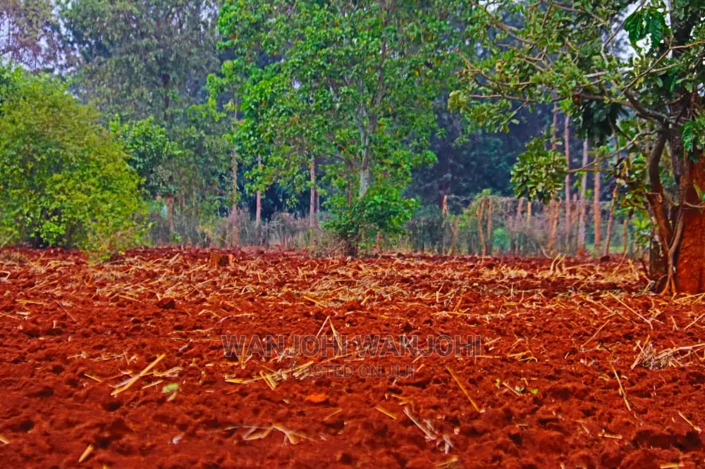 Prime Land Large Parcel