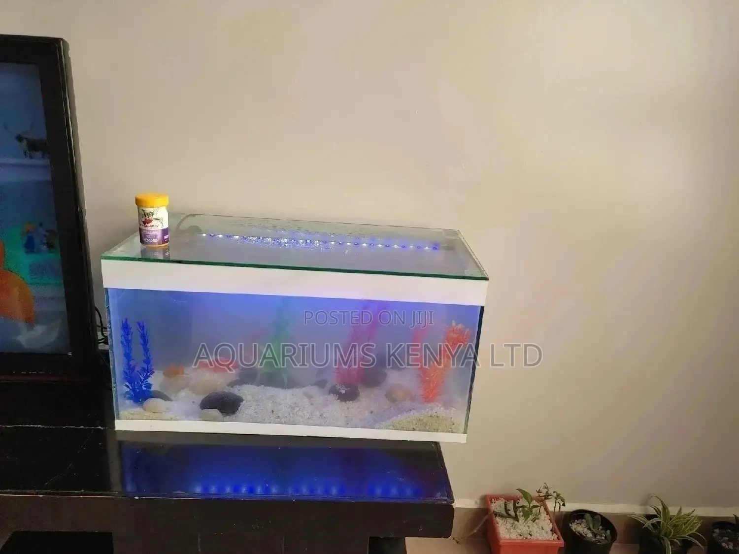 Complete 60L Aquarium Tank, Aquarium Accessories, Aquarium