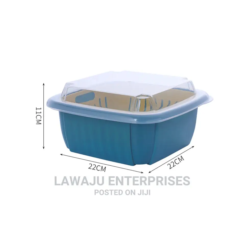Double Layer Kitchen Container