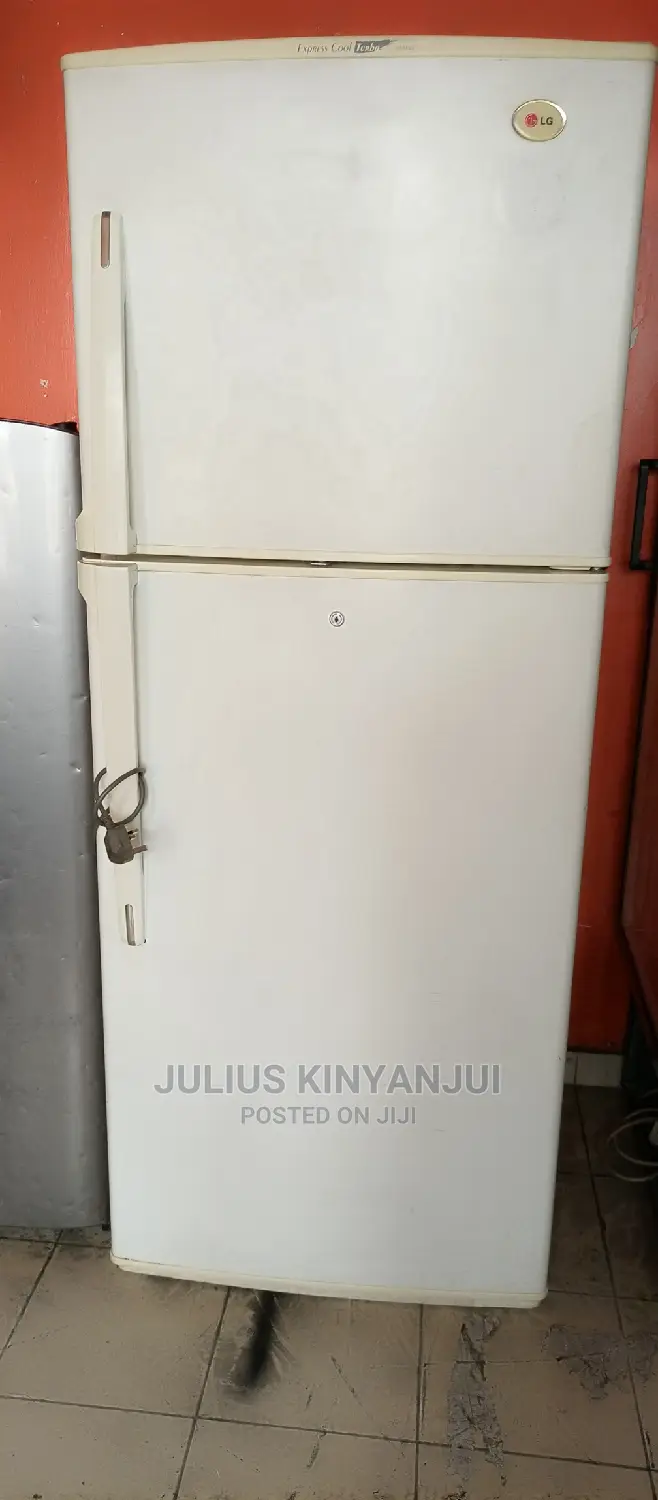 Double Door Fridge LG
