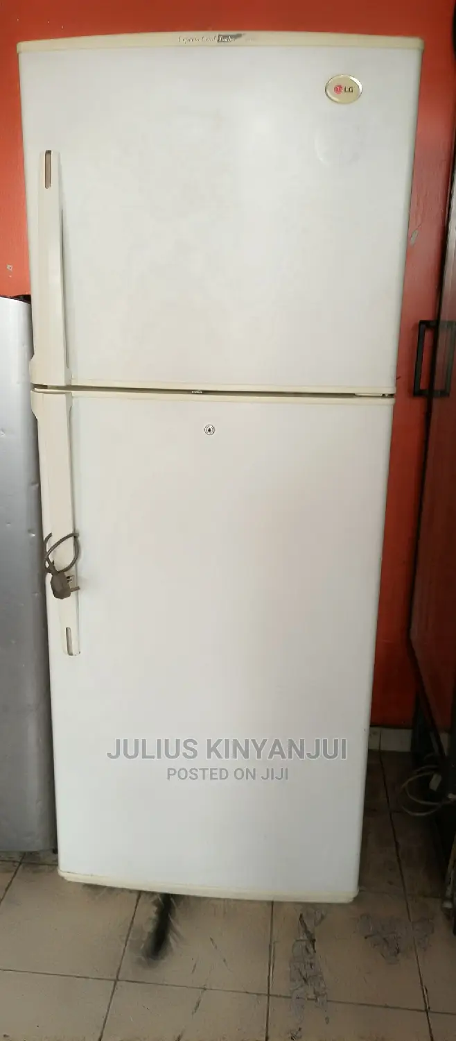 Double Door Fridge LG