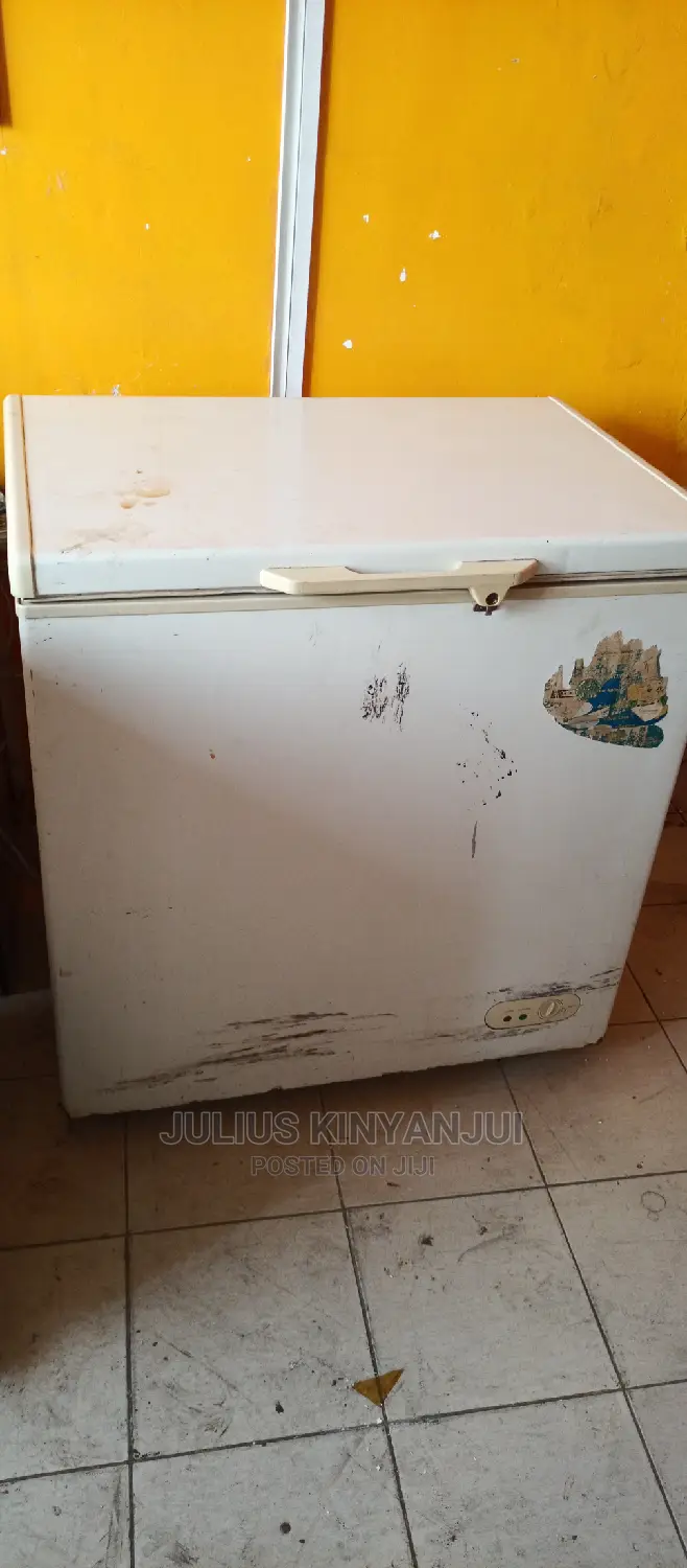 200L Deep Freezer