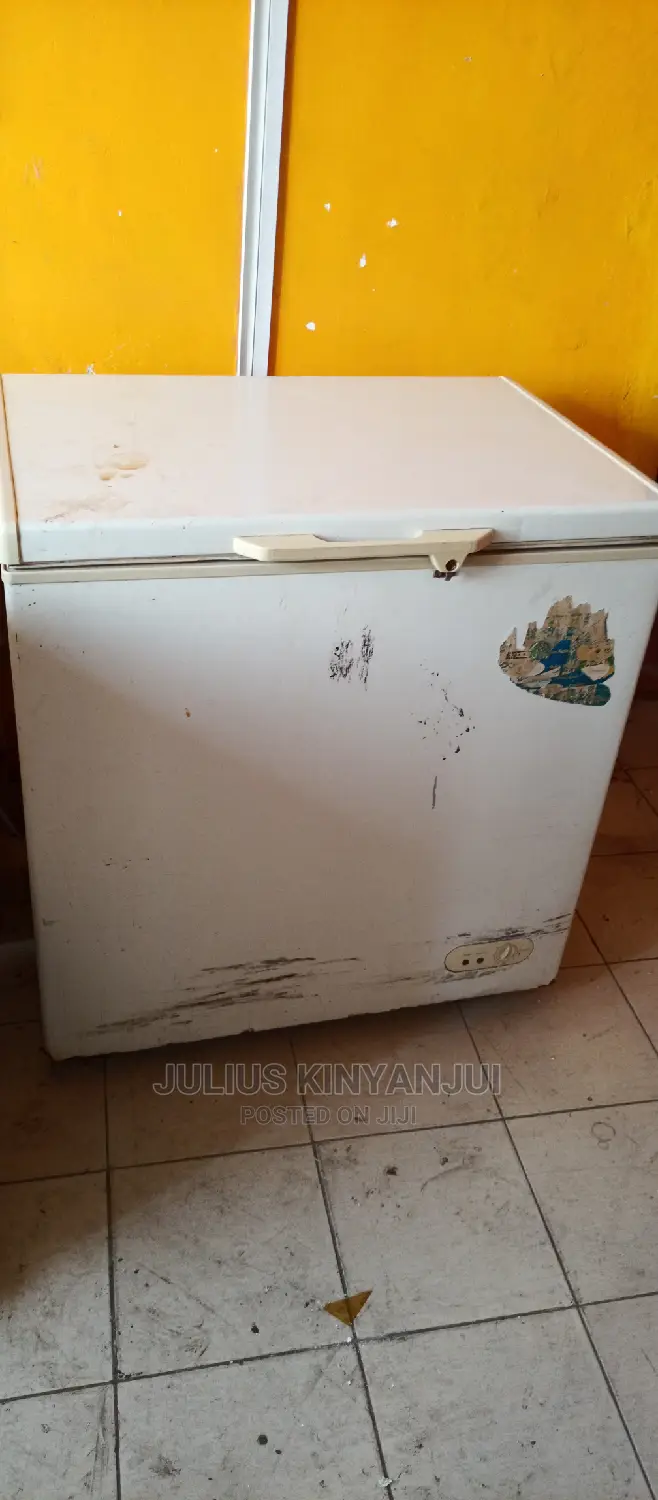 200L Deep Freezer