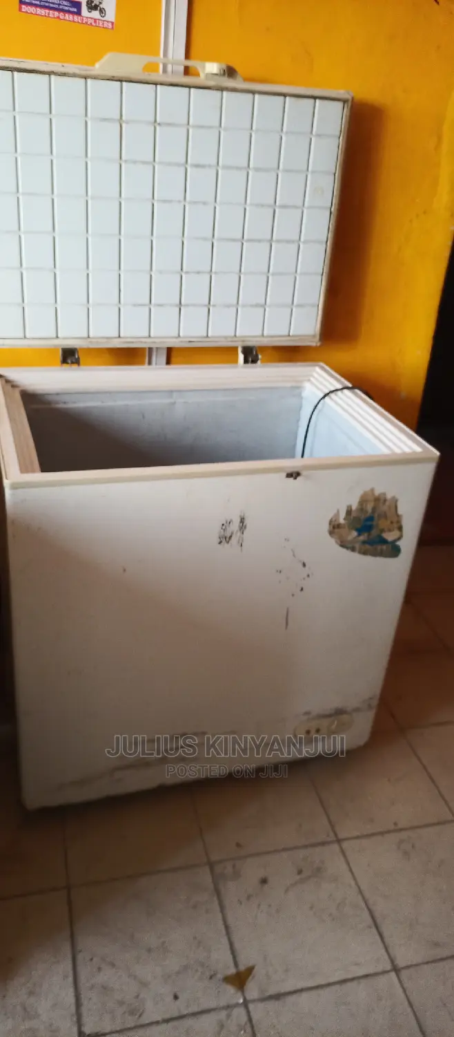 200L Deep Freezer