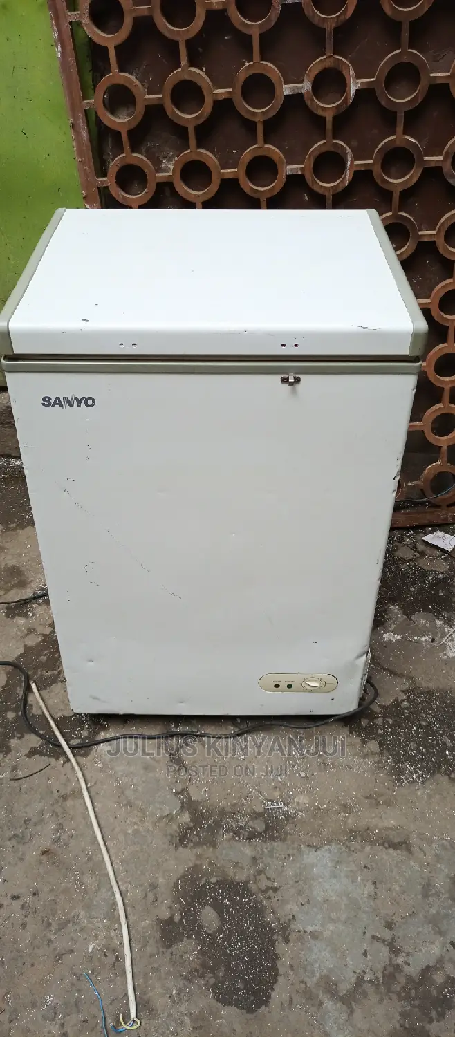 Mini Freezer 100L
