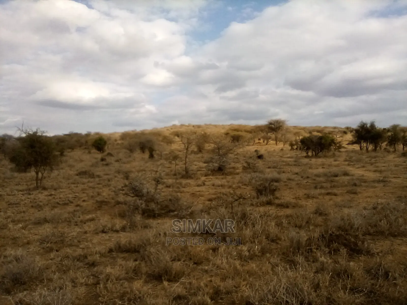 550-Acres of Land for Sale in Lorogoswa - Bisil - Namanga Ro