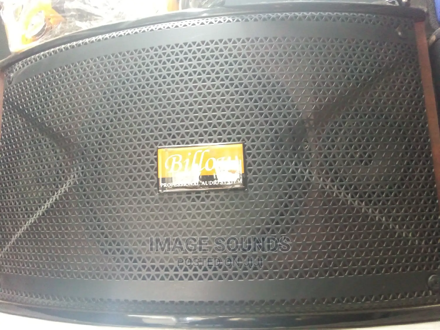 Professional Speaker-Billow 15"