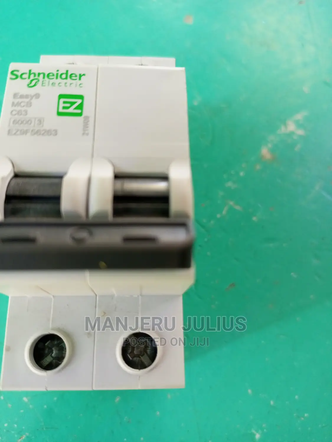 Schneider 63am Double Pole