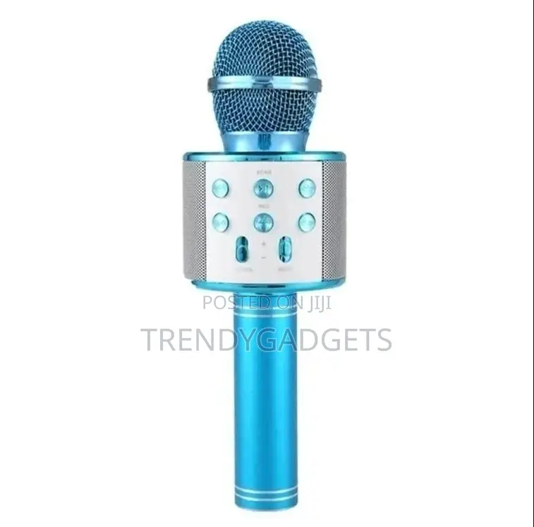 Portable Speaker Handheld Microphone KTV