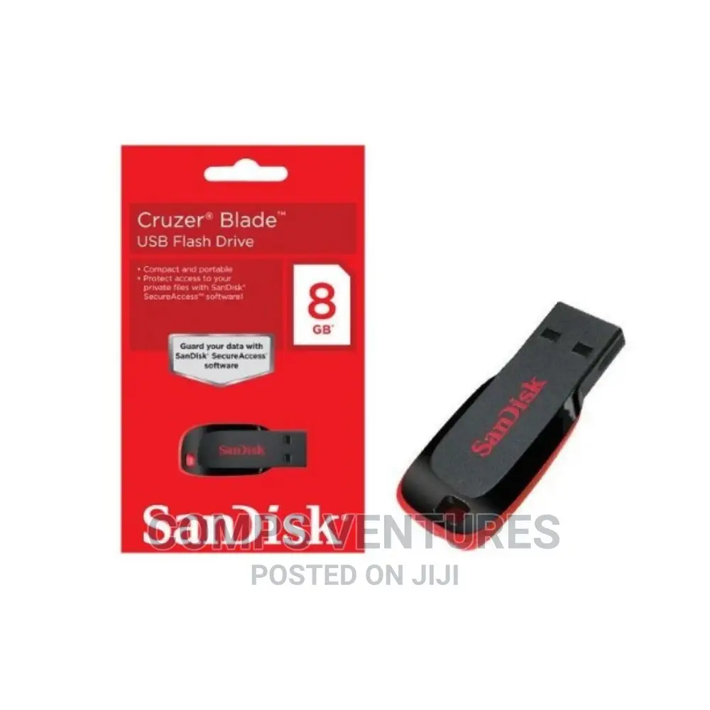 San Disk Flash Drive
