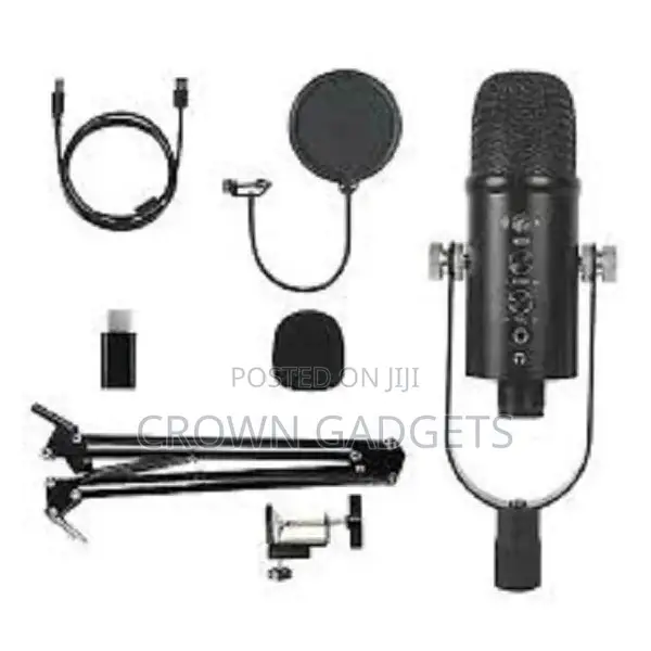 Professional USB Recording Condenser Microphone Cardioid Mic