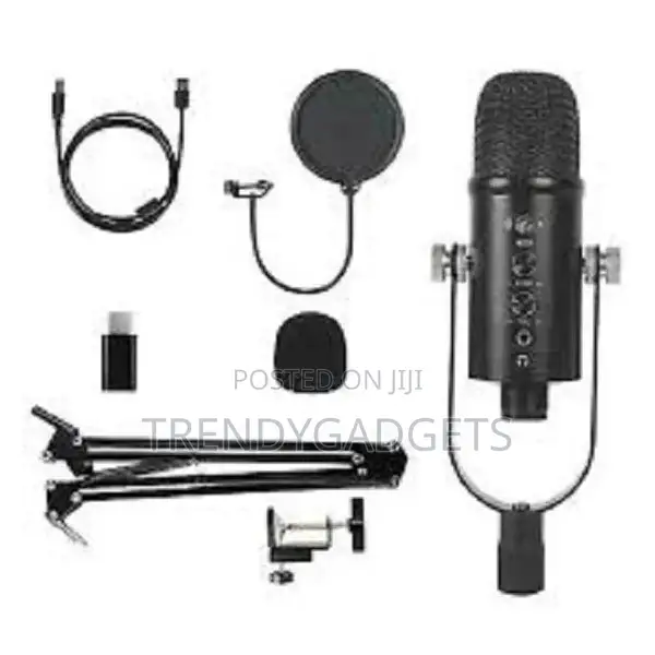 Professional USB Recording Condenser Microphone Cardioid Mic