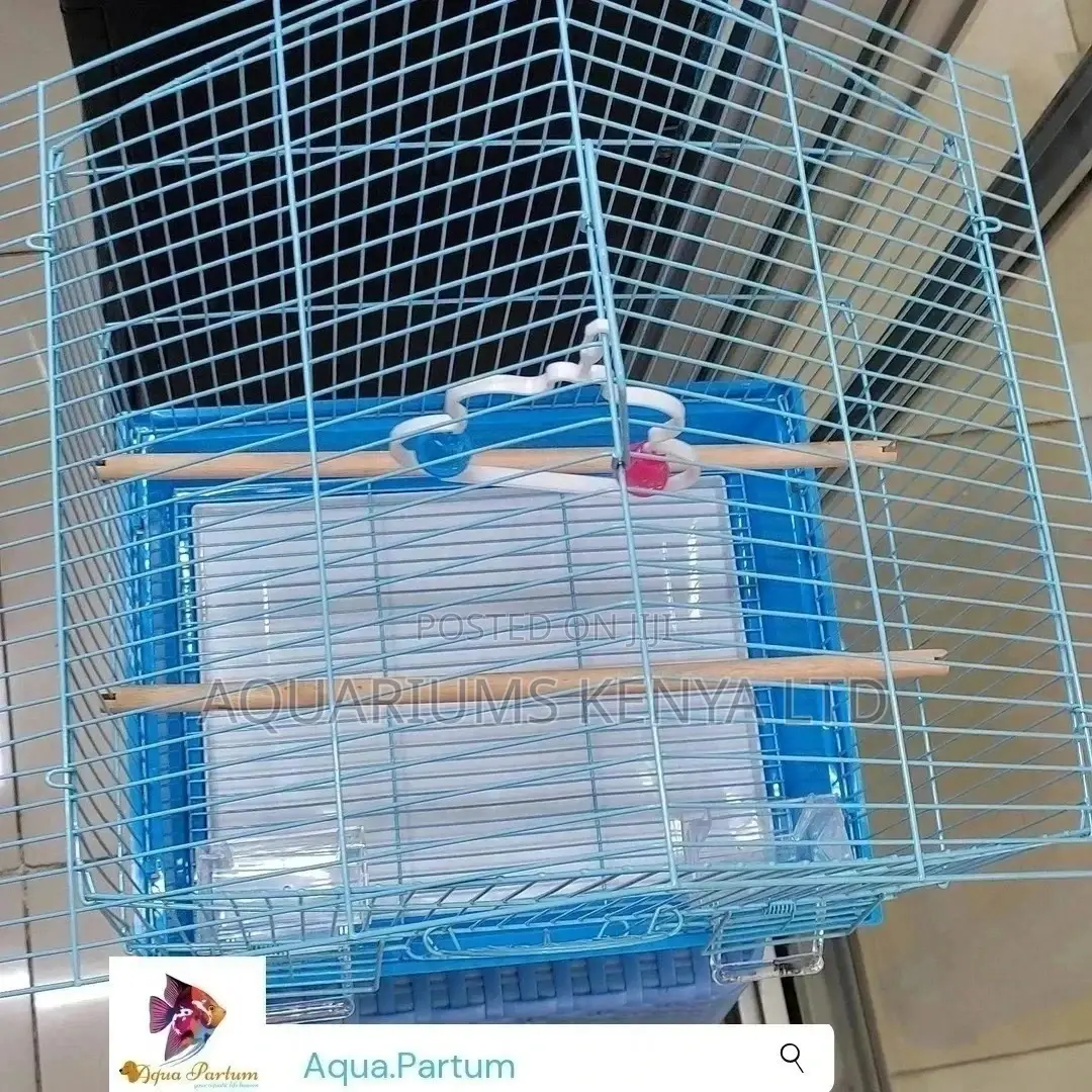 Love Birds Cage