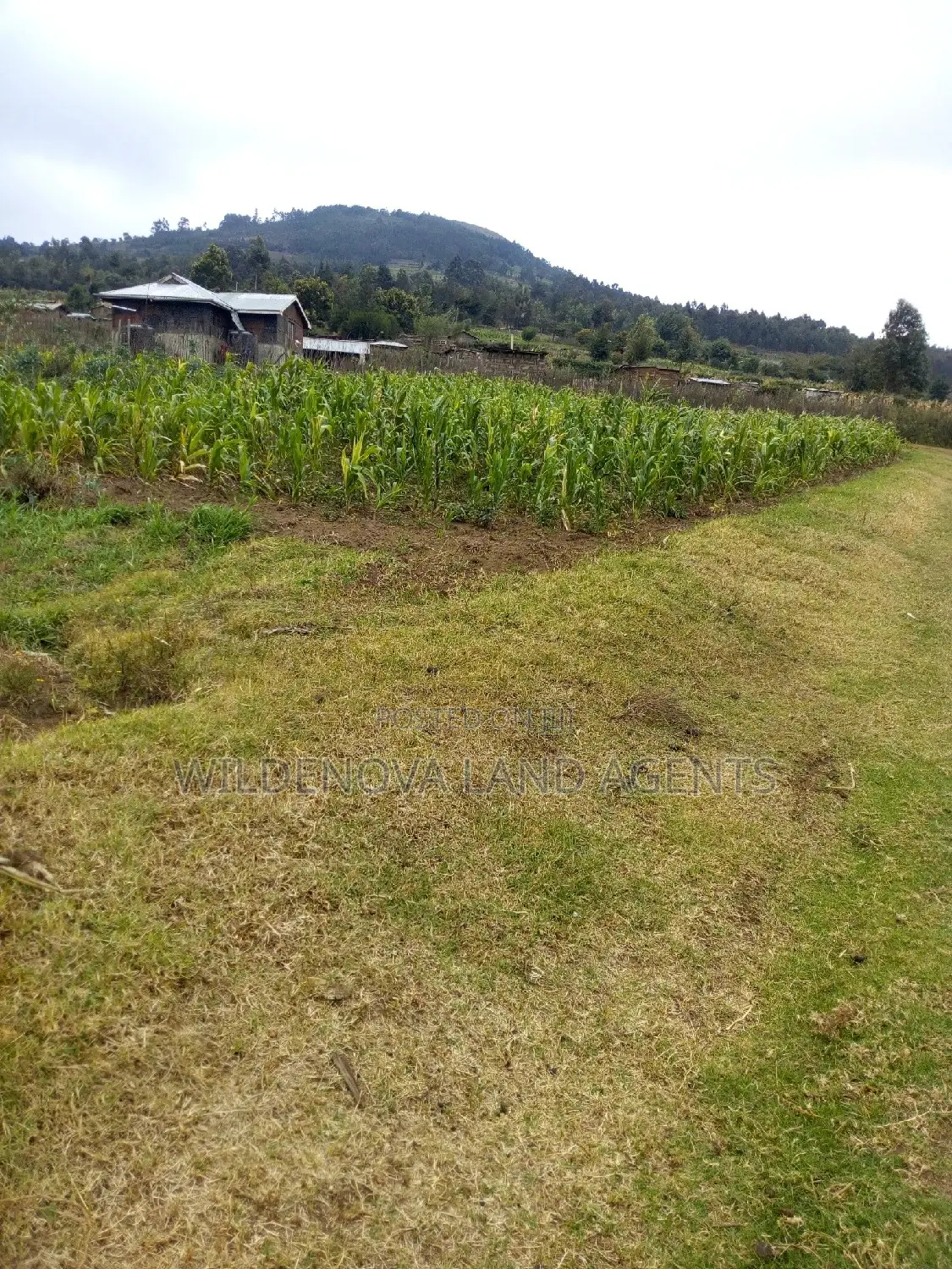 1/2 Acre on Sale at Kenton Naivasha