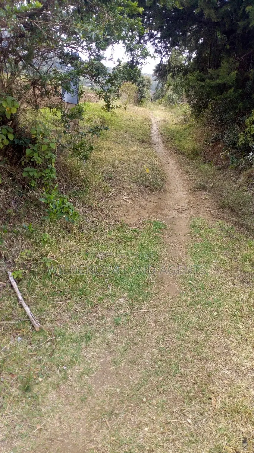 1/2 Acre on Sale at Kenton Naivasha