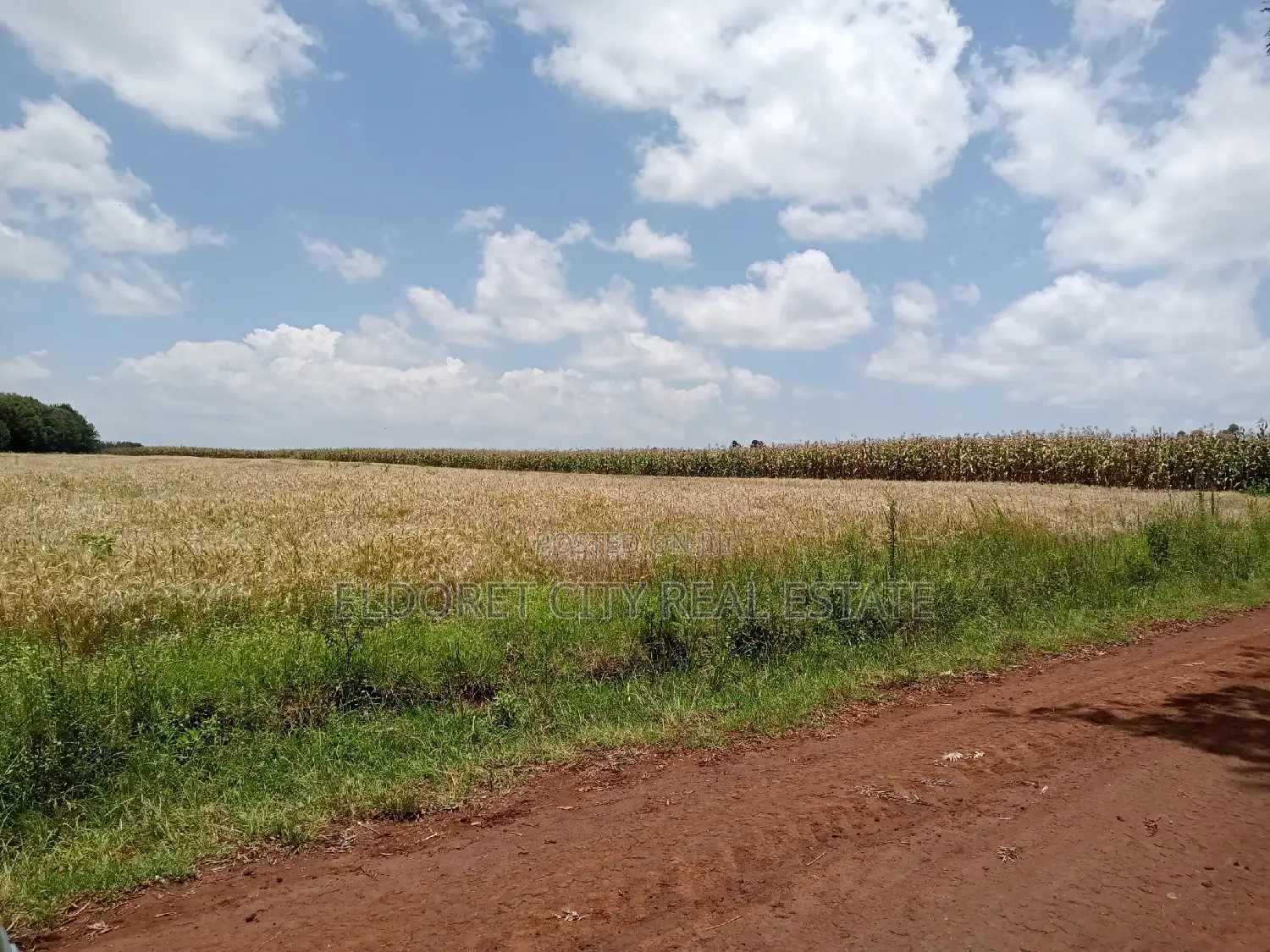 5 Acres Kabenes With Mother Title