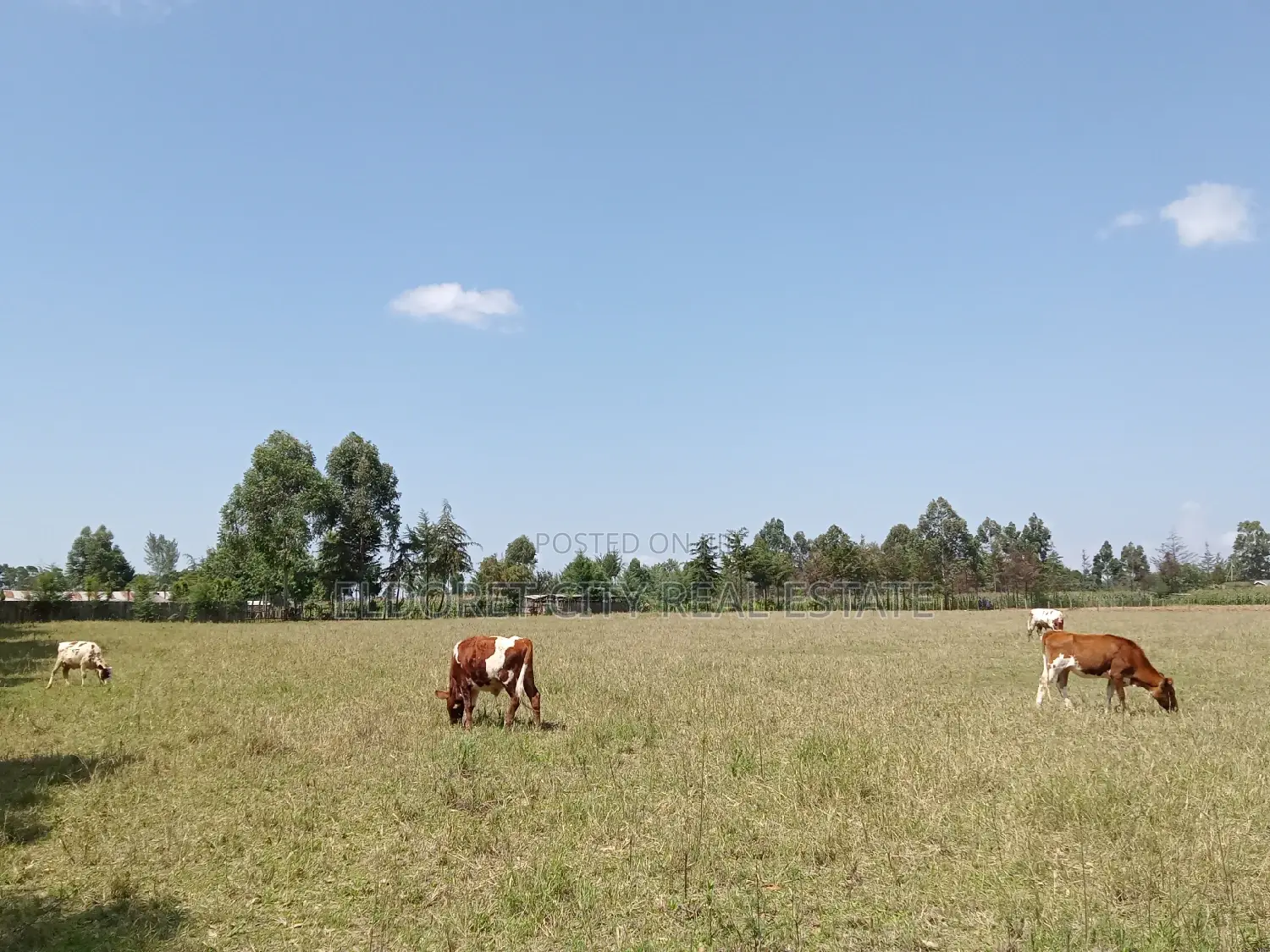 10 Acres Naiberi With Title Around 1.5km From Tarmac
