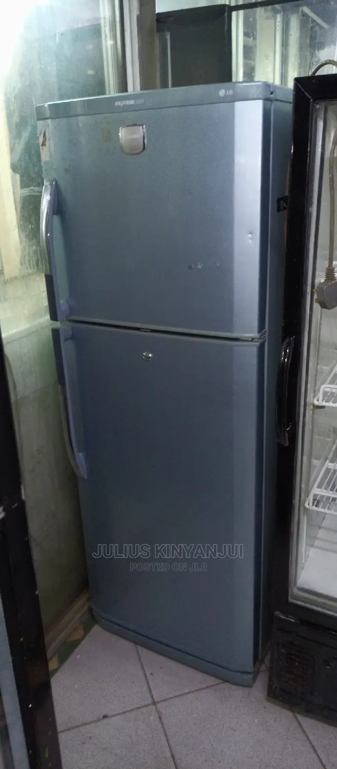 LG Fridge Double Door