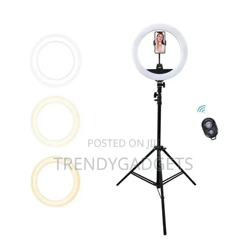 10 Inch Led Dimmable Ring Light With Stand, Trendy G