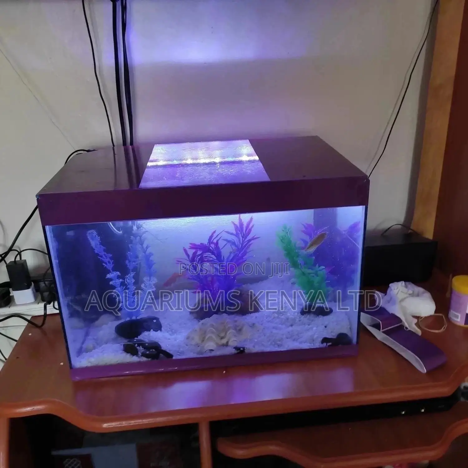 Custom Aquarium , Fish Tank Aquariumcomplete