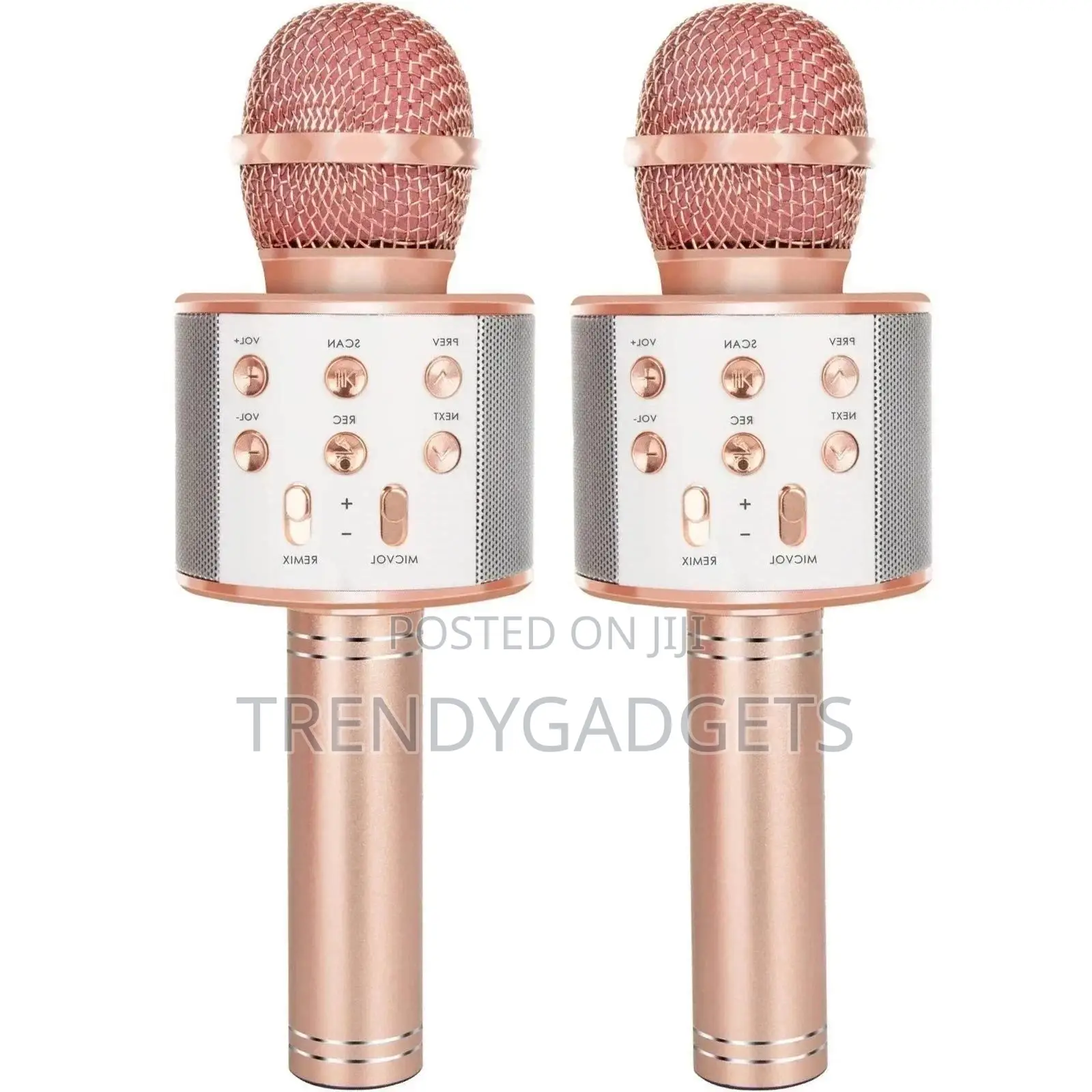 Bluetooth Karaoke Mic