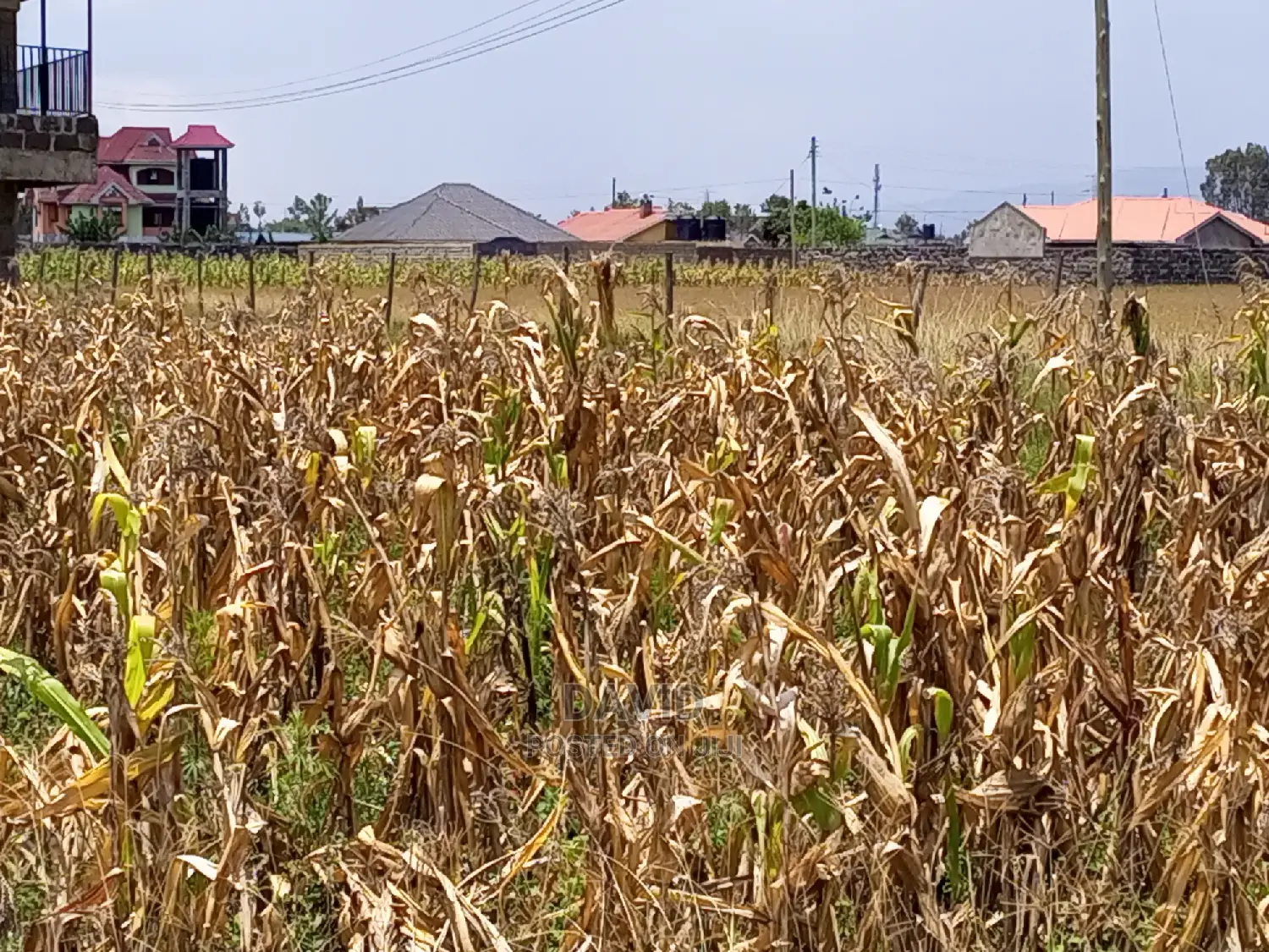 Plots for Sale in Pipeline