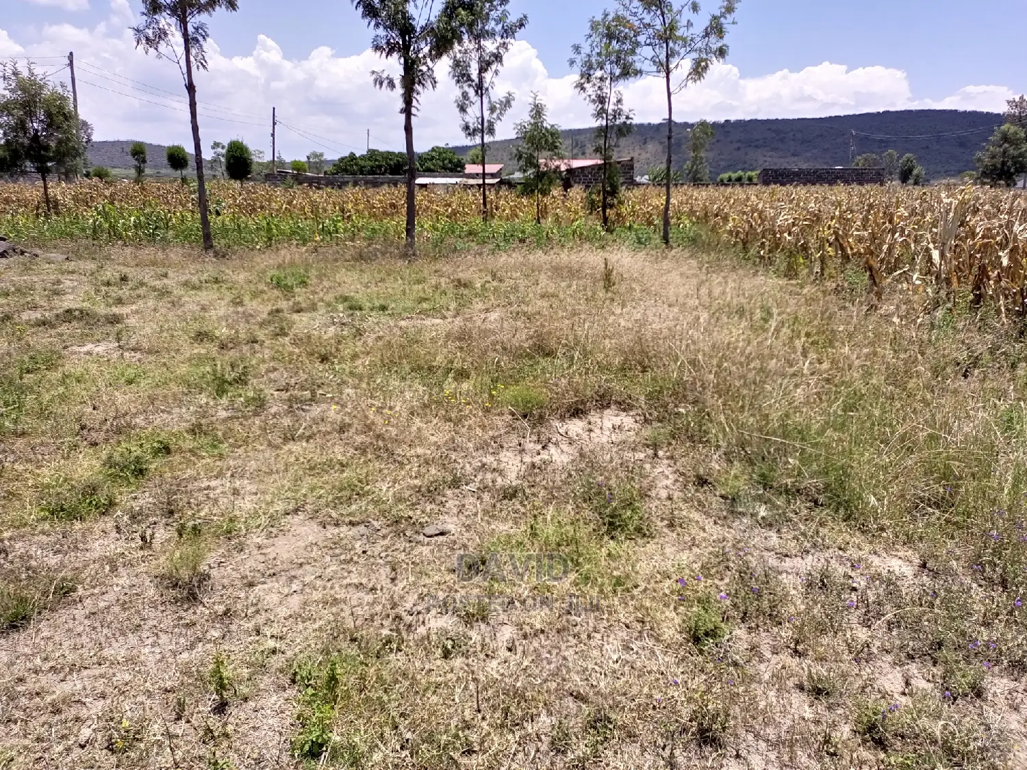 Plots for Sale in Pipeline