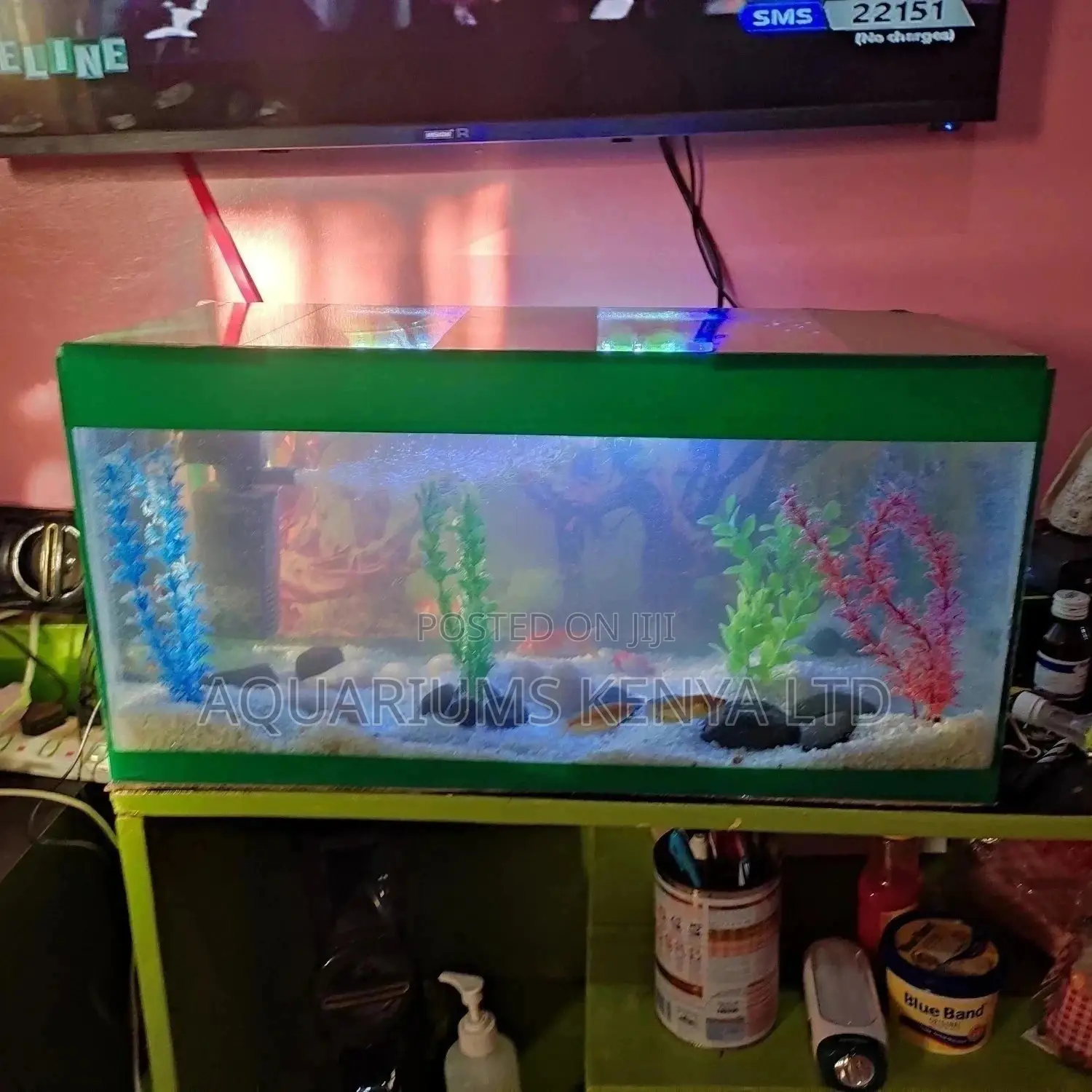 Custom Made Aquariums, Aquarium Accessories, Aquarium Fish