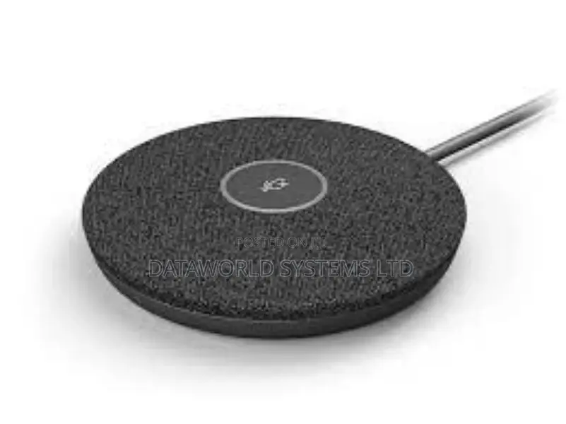 Logitech Expansion Mic Pod for the Rally