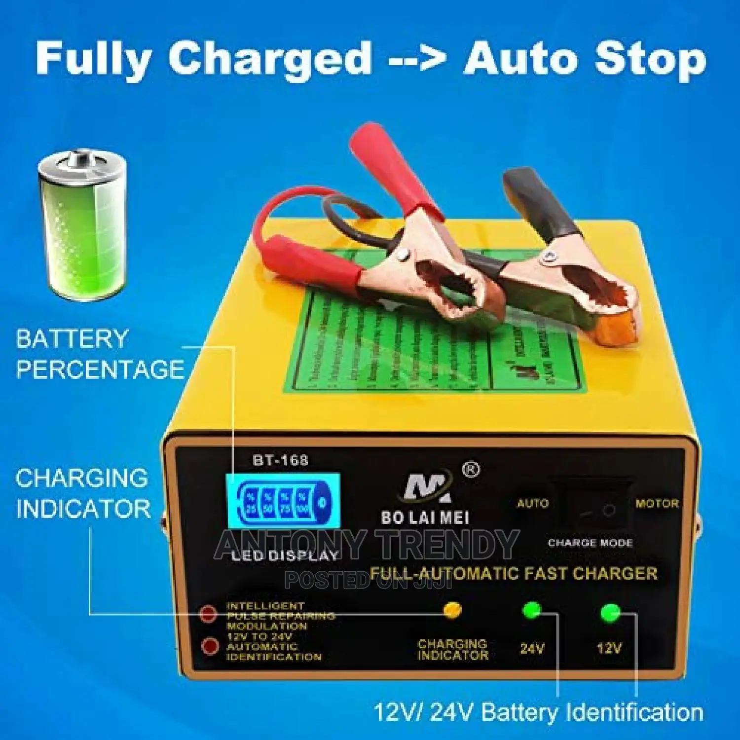 Intelligent Car Battery Charger 12v and 24volts