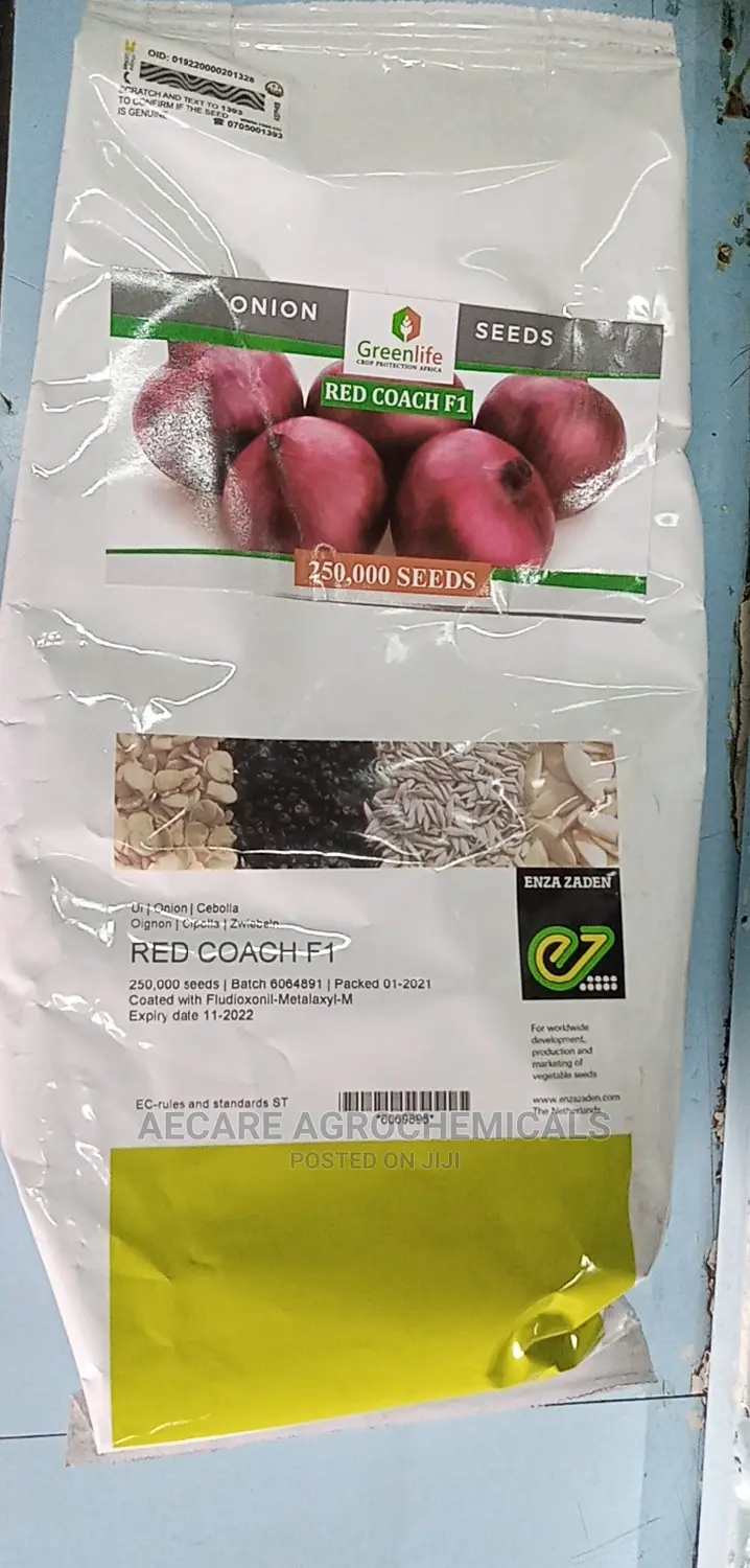 Red Coach F1 ONION HYBRID SEEDS 250,000 Seeds
