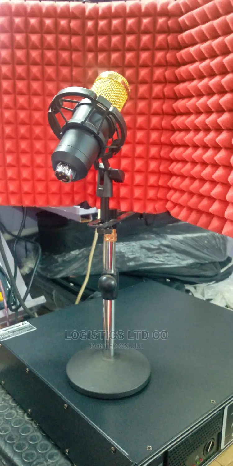 Studio Microphone