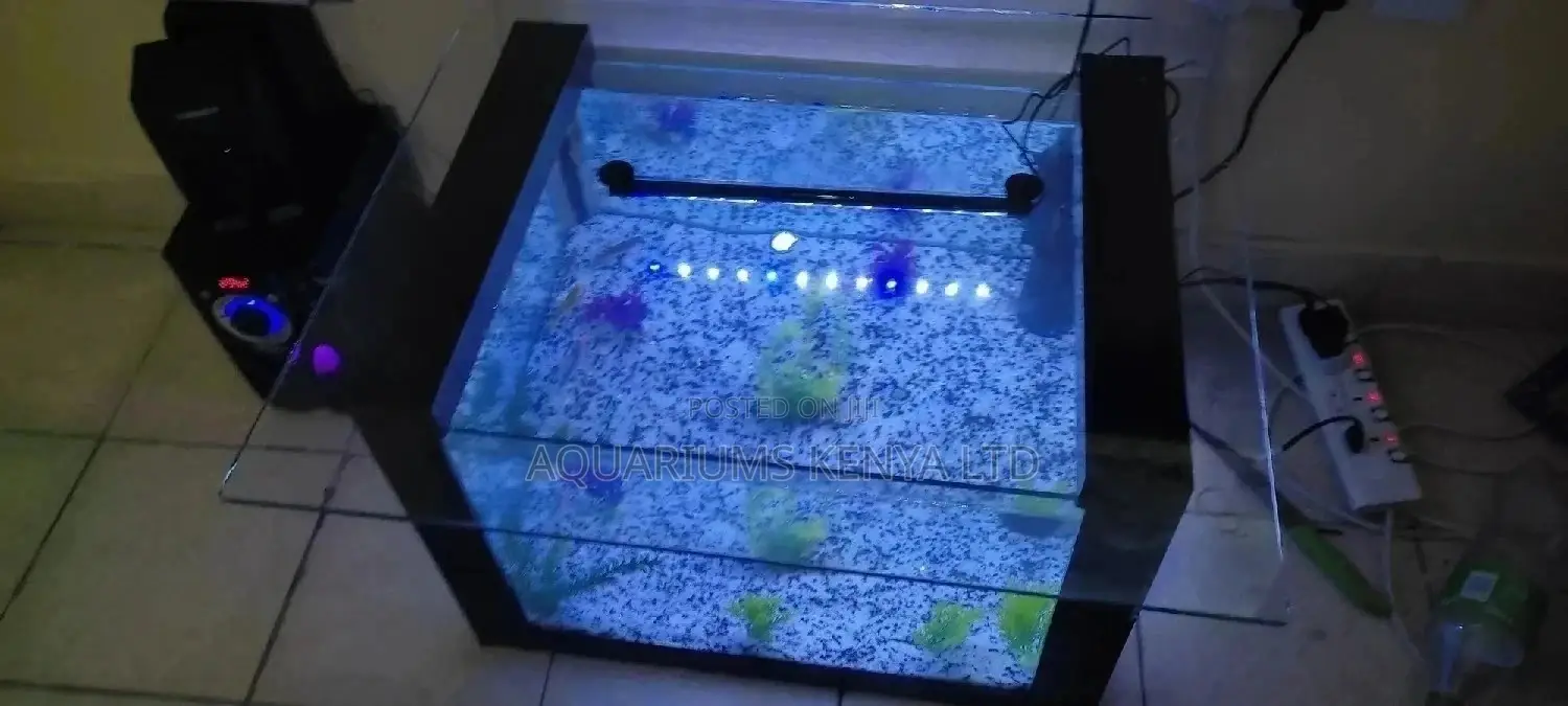 Table Aquarium ,Complete Aquarium