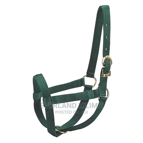 Cow Halter