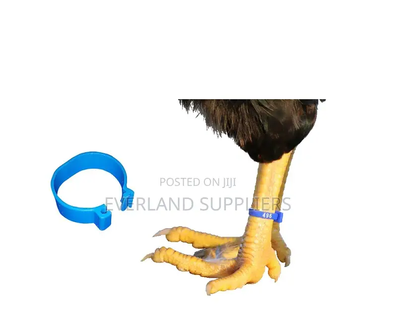 Poultry Leg Band