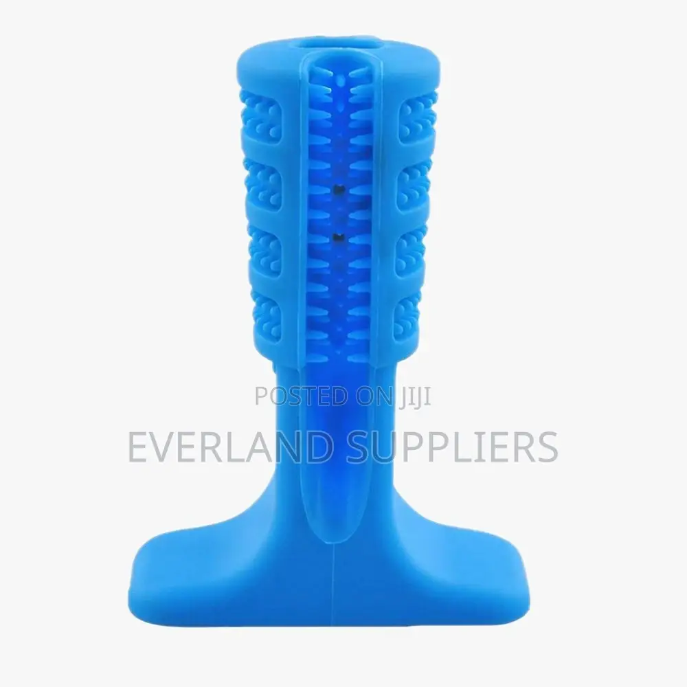 Toy Bone /Tooth Brush
