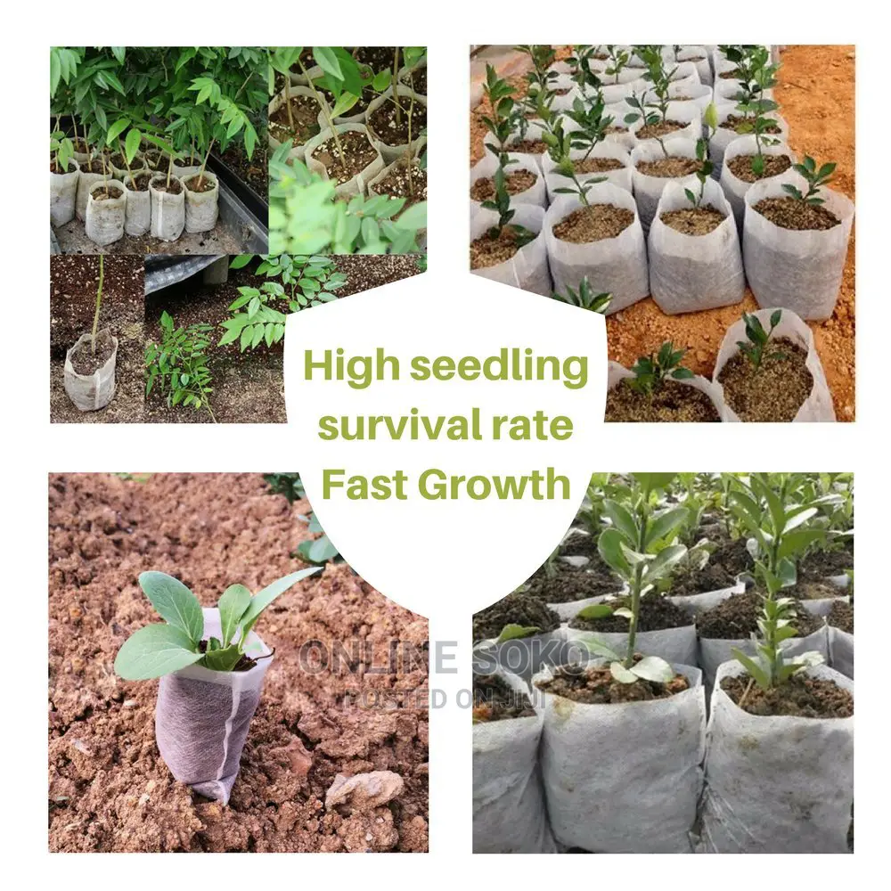 Biodegradable Non-Woven Nursery Planting Seedling Bag-50 PCS
