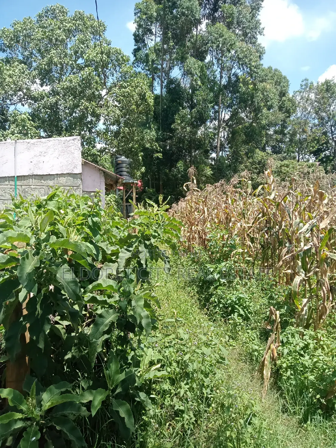 1/2 Acre Kapseret Ideal for Residential