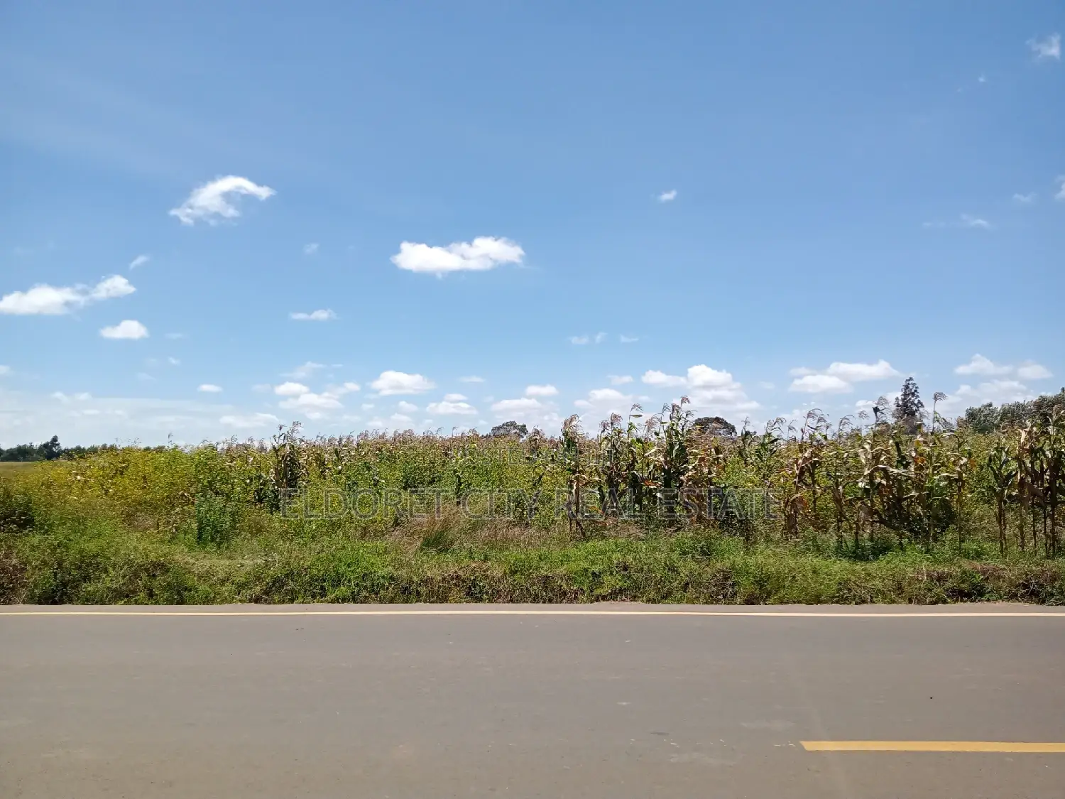 Several 1/4 and 1/8 Plots Marura Touching Tarmac