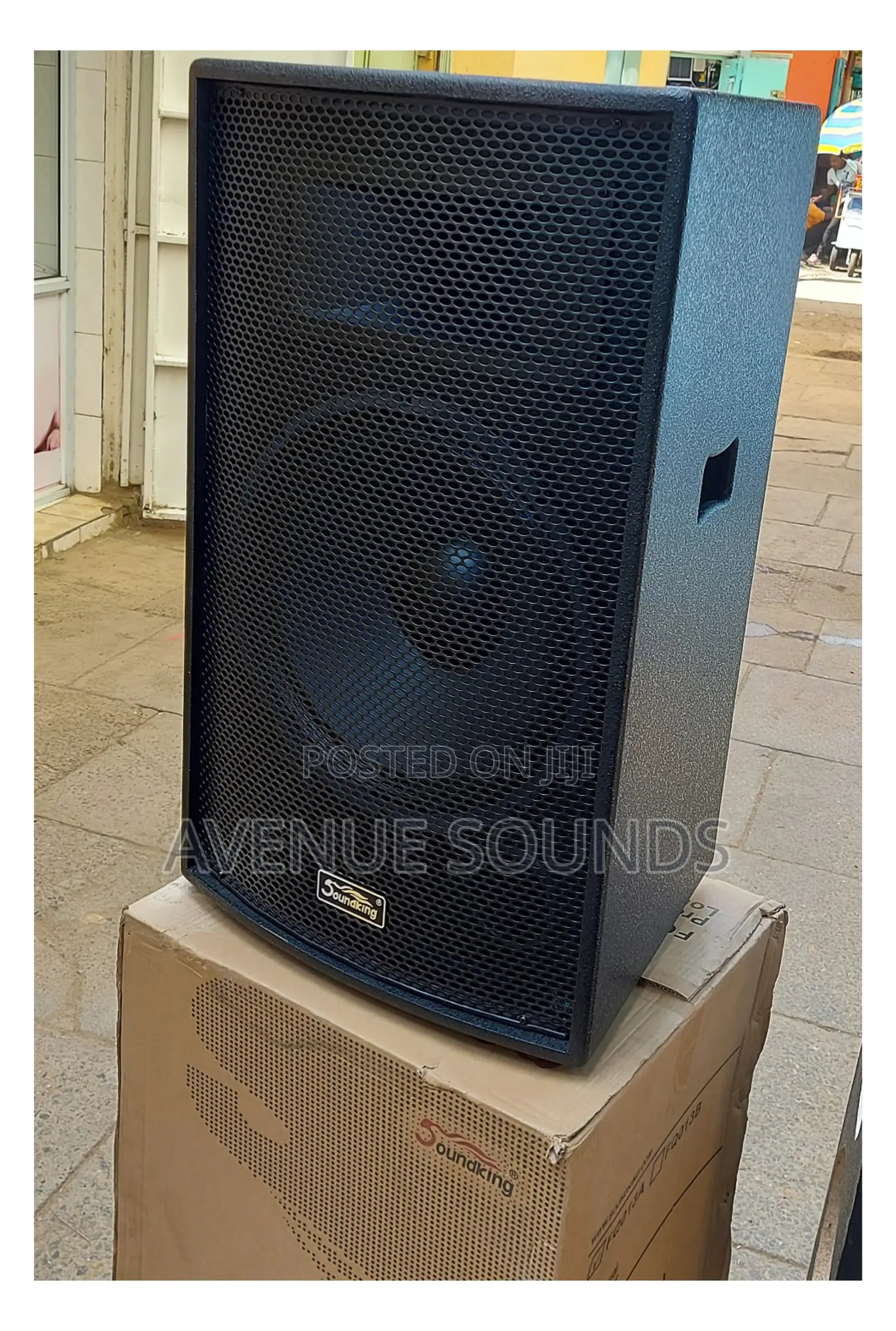 Soundking Midrange Speaker