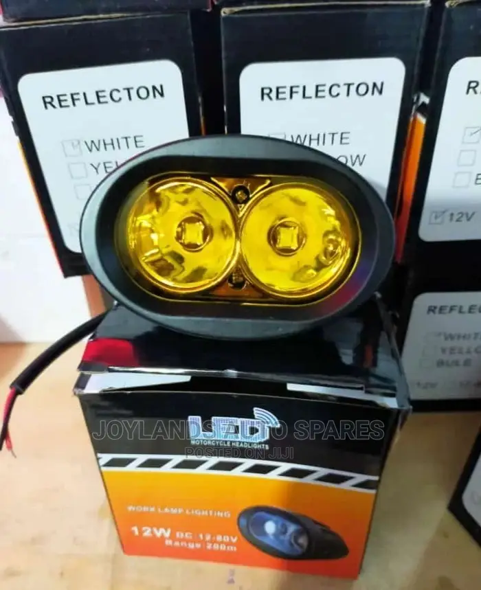 Led Light 2 Bulbs Oval