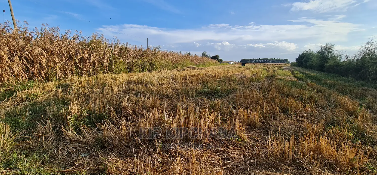 1⁄8 Acre Plots for Sale in Kiplombe Mtrh Eldoret