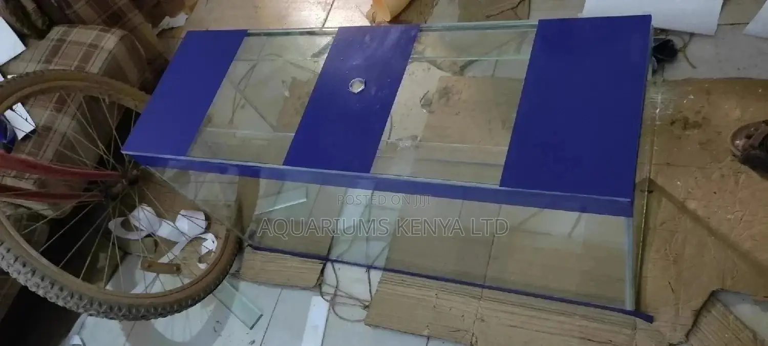Glass Aquarium and Aquarium Accessories