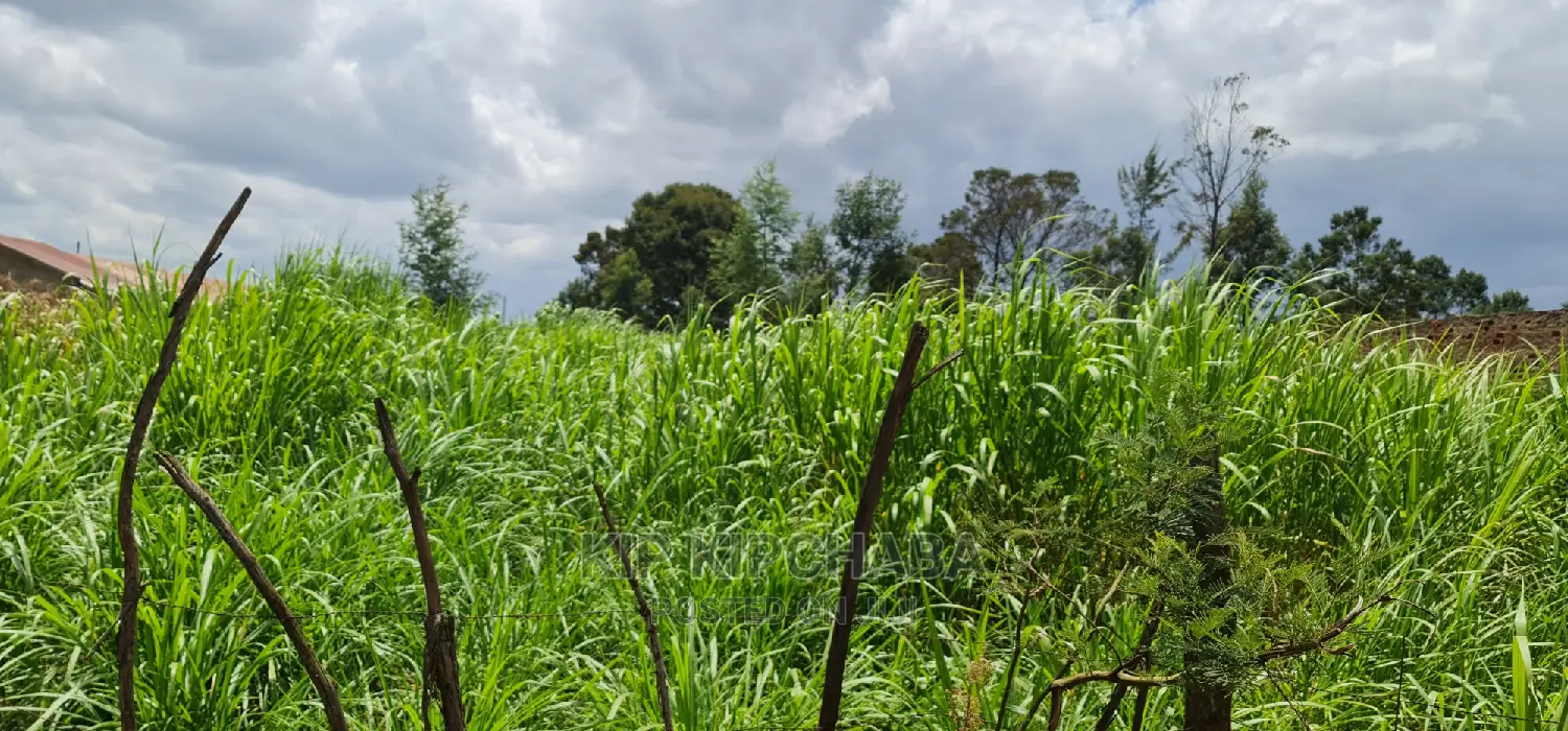 Commercial Plot Touching Tarmac Annex Eldoret