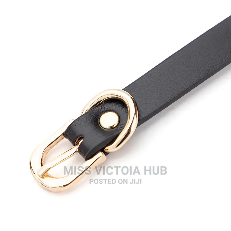 Bear Head Shaped Veil BDSM Convenient SM Bondage