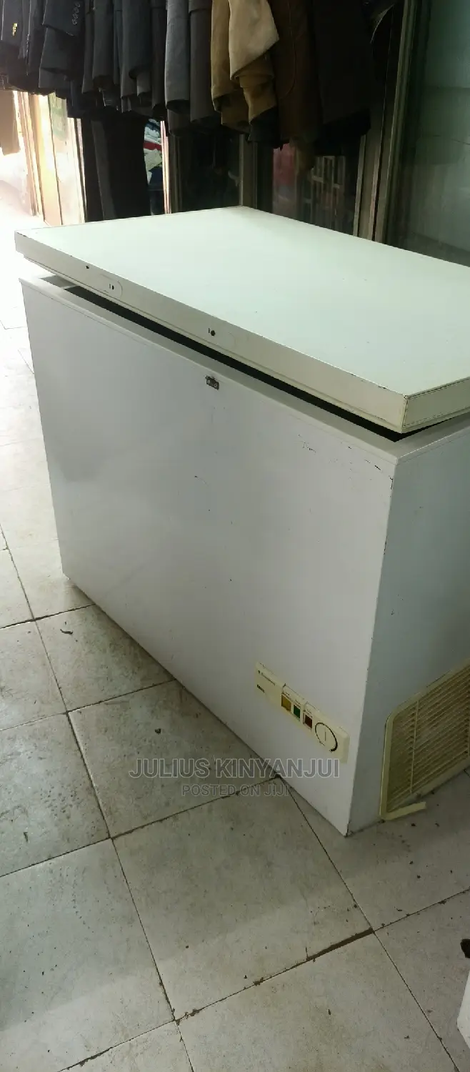 Deep Freezer 330L