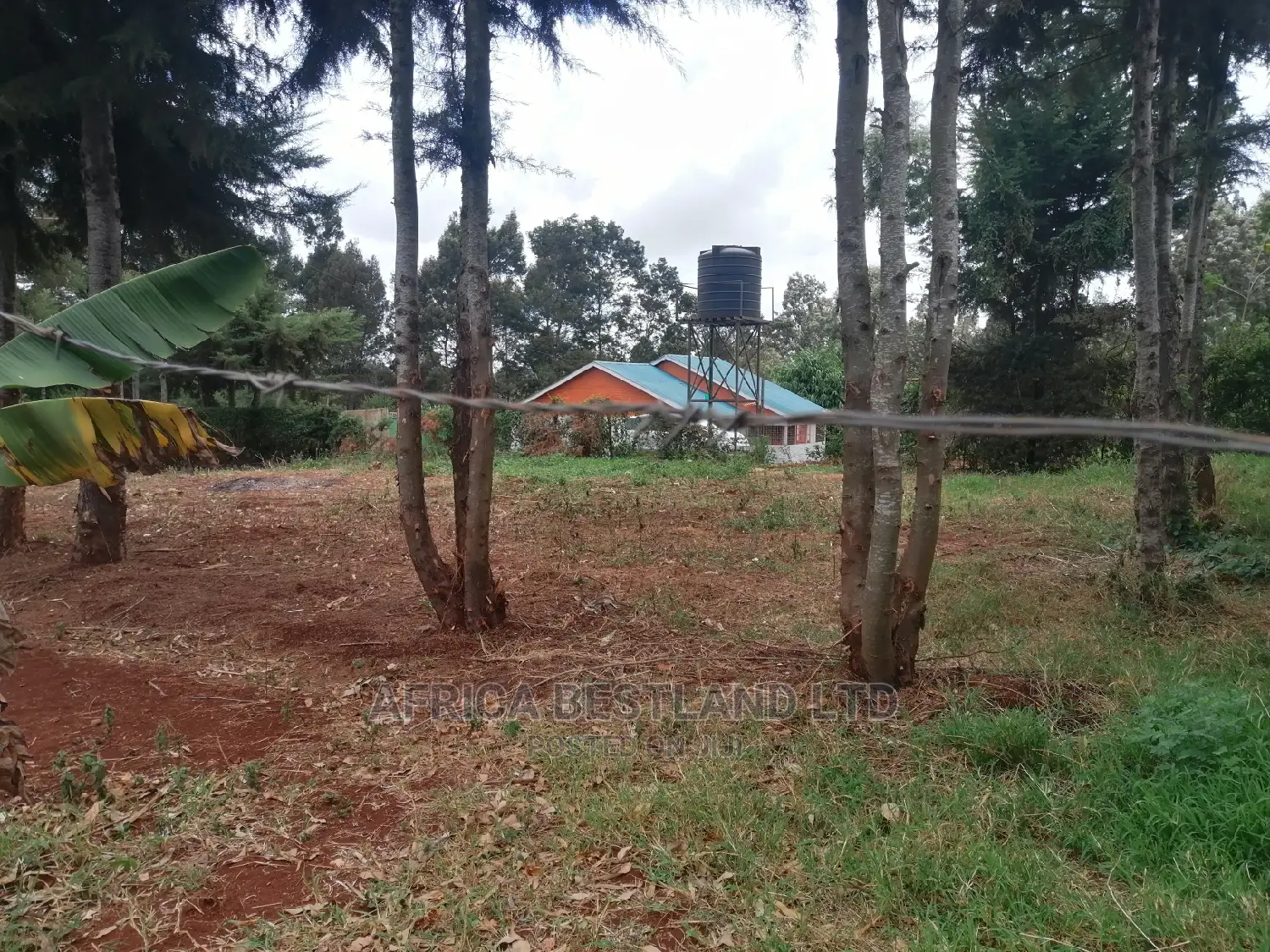 50x100 Ft Plot for Sale in Ondiri
