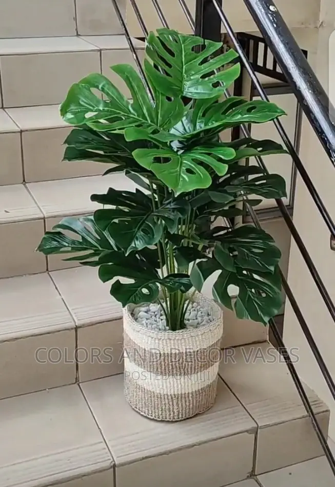 Plants Artificial And Baskets